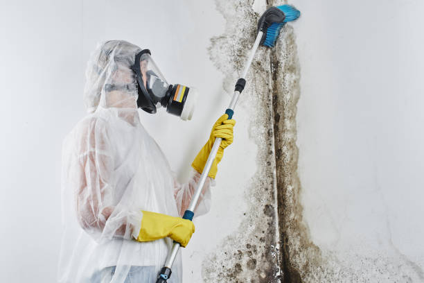 Best Industrial Mold Remediation  in Rancho Laveras, CA